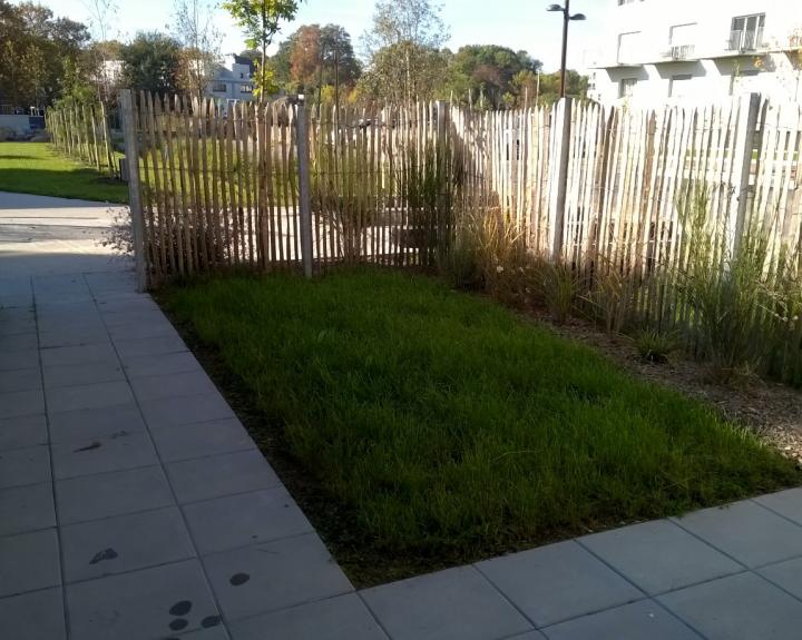 Jardin