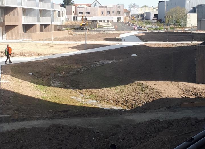 22 mars 2022_coeur d'ilôt