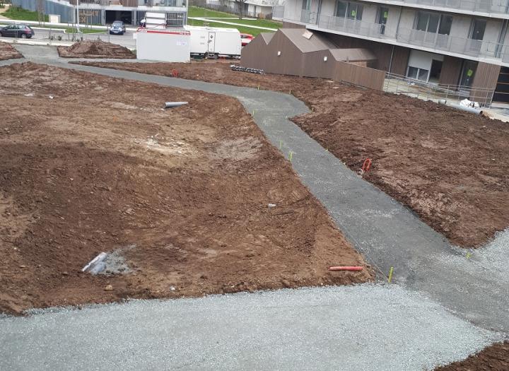 18 janvier 2022_coeur d'ilôt