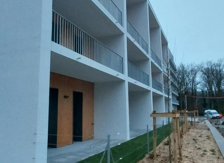 SILVA_02 février 2026