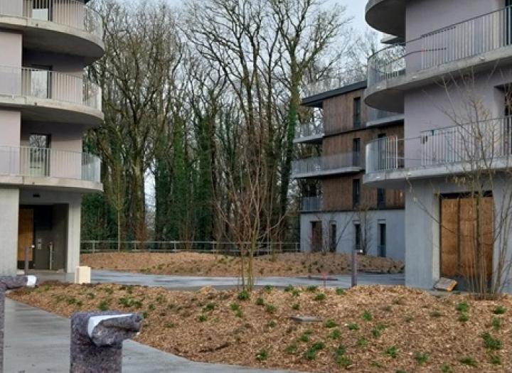 SILVA_13 janvier 2026