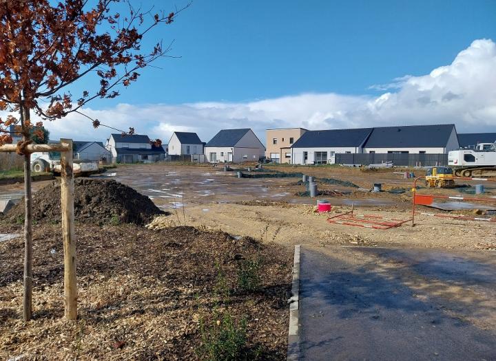 ALVINA_ février 2025_démarrage travaux