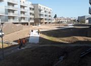 22 mars 2022_coeur d'ilôt