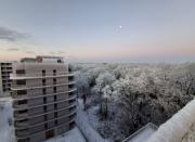 SILVA sous la neige 6 janvier 2026