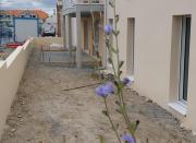 LES OMBELLES_Juillet 2026